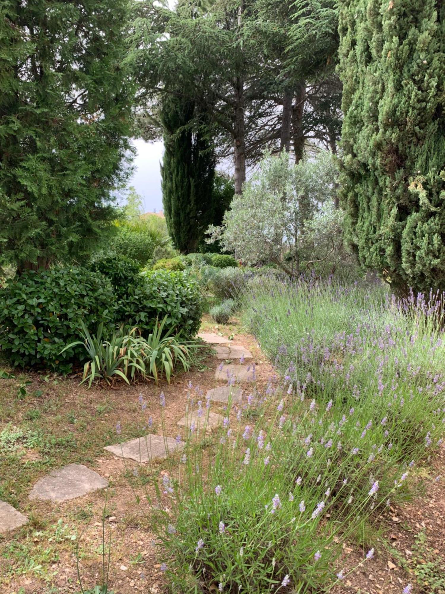 Hébergement de vacances Mazet Leajo